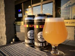 In the foreground a 12 oz tulip glass sits on a gray picnic table. The liquid in the glass is golden with a head of white effervescent carbonation. Behind the glass on the same table is a four pack of 16 oz cans.