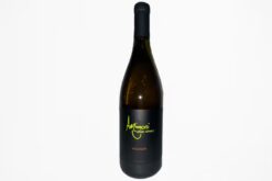 Viognier 2023