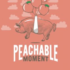 Peachable Moment Nitro Peach Ale